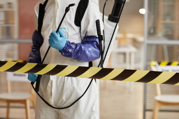 Professional Odor Removal technician working in Mentone, CA